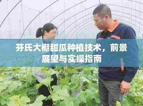 芬氏大棚甜瓜种植技术,前景展望与实操指南