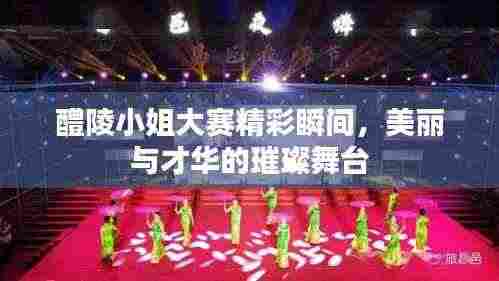 醴陵小姐大赛精彩瞬间,美丽与才华的璀璨舞台