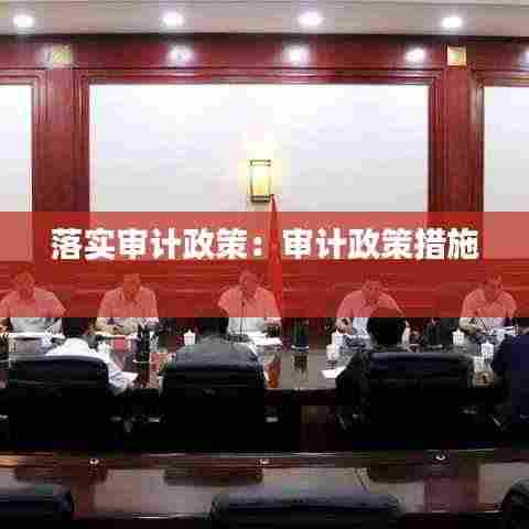 落实审计政策:审计政策措施