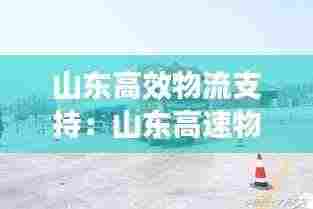 山东高效物流支持:山东高速物流骨干网
