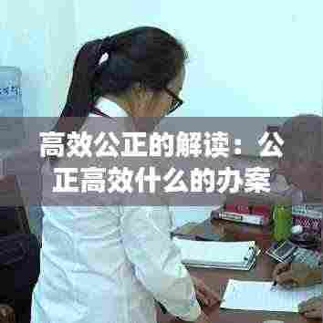 高效公正的解读:公正高效什么的办案机制