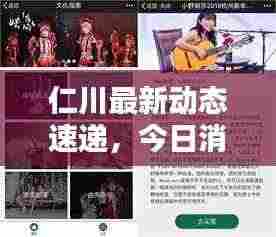 仁川最新动态速递,今日消息一网打尽!