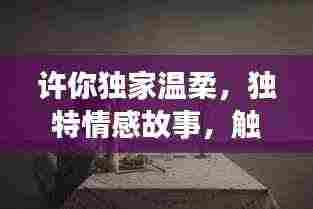 许你独家温柔，独特情感故事，触动心灵深处