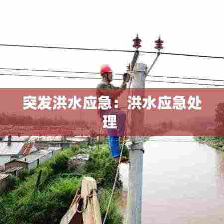 突发洪水应急：洪水应急处理 