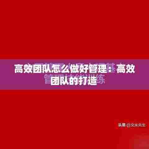 高效团队怎么做好管理:高效团队的打造