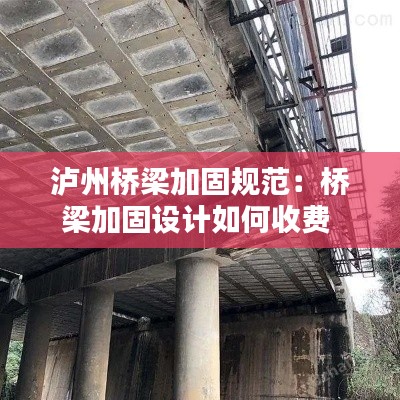泸州桥梁加固规范:桥梁加固设计如何收费