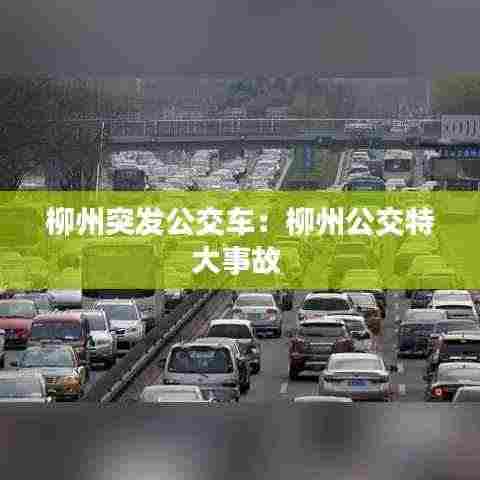柳州突发公交车:柳州公交特大事故