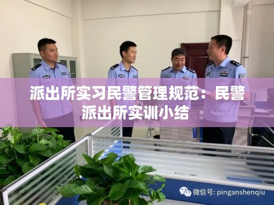 派出所实习民警管理规范：民警派出所实训小结 