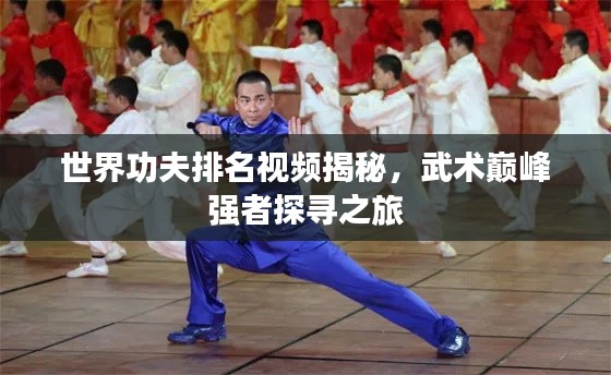 世界功夫排名视频揭秘，武术巅峰强者探寻之旅