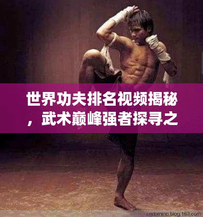 世界功夫排名视频揭秘,武术巅峰强者探寻之旅