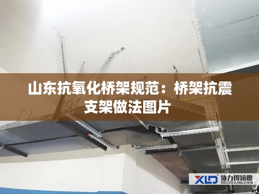 山东抗氧化桥架规范：桥架抗震支架做法图片 