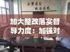 加大整改落实督导力度：加强对整改工作的督导检查 