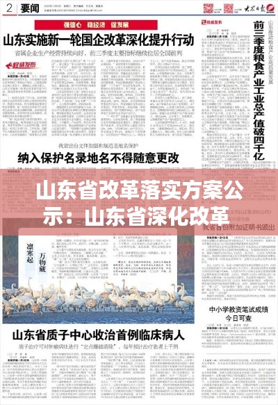 山东省改革落实方案公示：山东省深化改革 