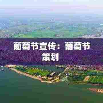 葡萄节宣传:葡萄节策划