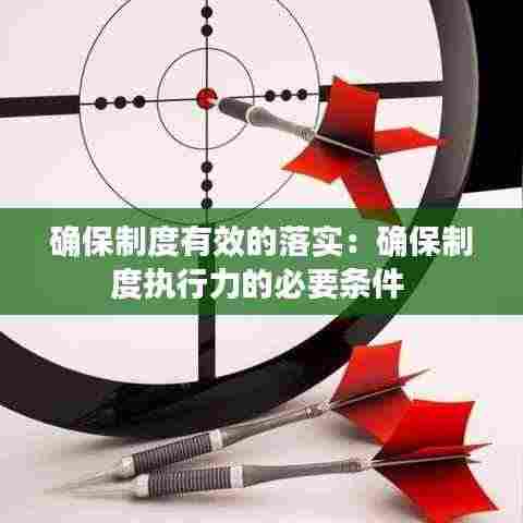 确保制度有效的落实:确保制度执行力的必要条件