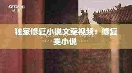独家修复小说文案视频:修复类小说