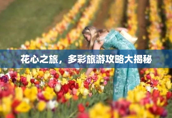 花心之旅,多彩旅游攻略大揭秘