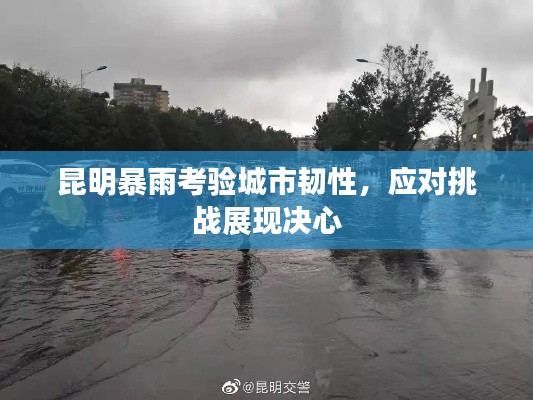 昆明暴雨考验城市韧性，应对挑战展现决心