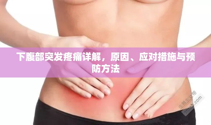 下腹部突发疼痛详解,原因、应对措施与预防方法