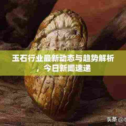 玉石行业最新动态与趋势解析,今日新闻速递