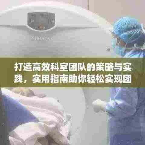 打造高效科室团队的策略与实践，实用指南助你轻松实现团队协同力提升！