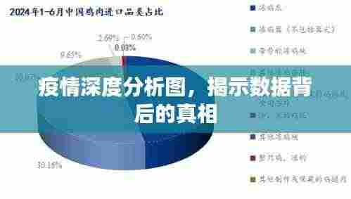 疫情深度分析图,揭示数据背后的真相