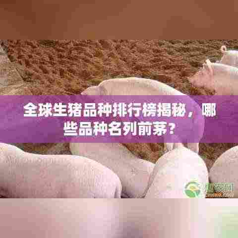 全球生猪品种排行榜揭秘,哪些品种名列前茅?