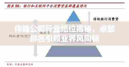 伟峰公司行业地位揭秘,卓越排名引领业界风向标