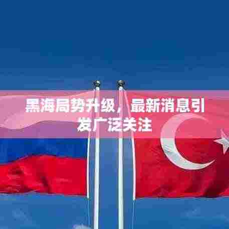 黑海局势升级,最新消息引发广泛关注