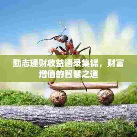 励志理财收益语录集锦,财富增值的智慧之道