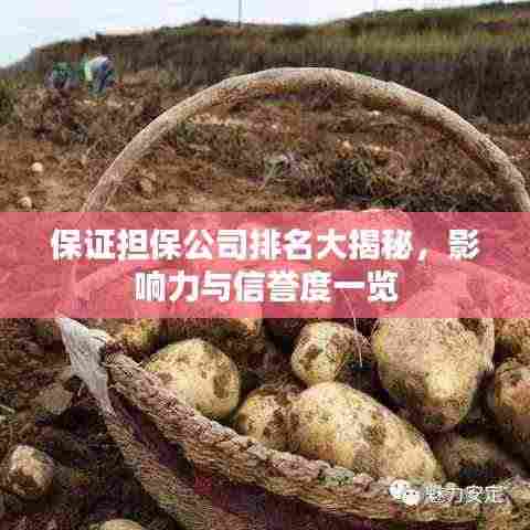 保证担保公司排名大揭秘，影响力与信誉度一览