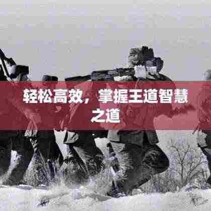 轻松高效,掌握王道智慧之道