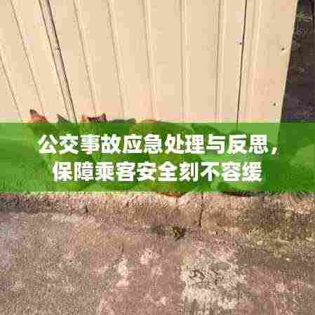 公交事故应急处理与反思,保障乘客安全刻不容缓