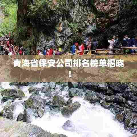 青海省保安公司排名榜单揭晓！