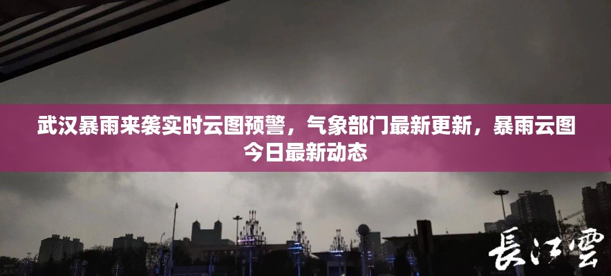 武汉暴雨来袭实时云图预警,气象部门最新更新,暴雨云图今日最新动态