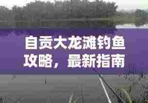 自贡大龙滩钓鱼攻略,最新指南一网打尽!