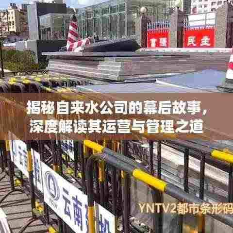 揭秘自来水公司的幕后故事，深度解读其运营与管理之道