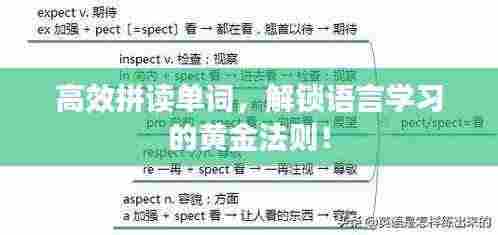 高效拼读单词,解锁语言学习的黄金法则!