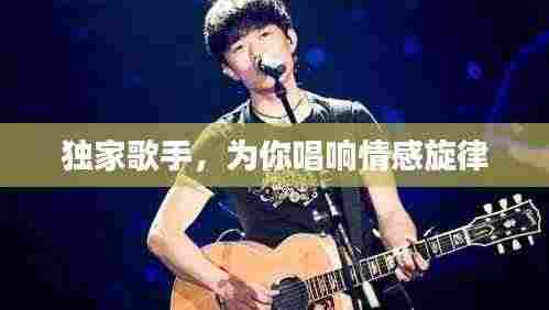 独家歌手,为你唱响情感旋律