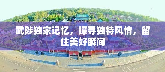 武陟独家记忆,探寻独特风情,留住美好瞬间