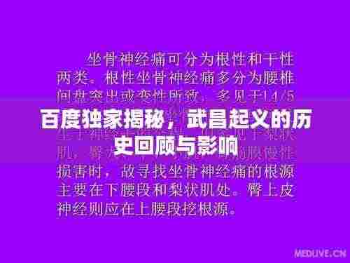 百度独家揭秘,武昌起义的历史回顾与影响