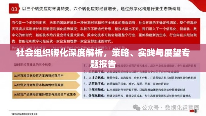 社会组织孵化深度解析,策略、实践与展望专题报告