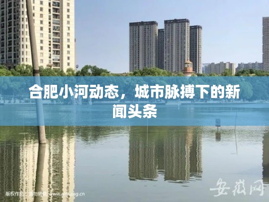 合肥小河动态，城市脉搏下的新闻头条