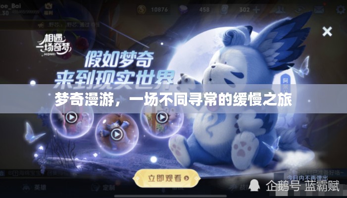 梦奇漫游,一场不同寻常的缓慢之旅