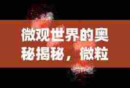 微观世界的奥秘揭秘,微粒不停运动之旅探索