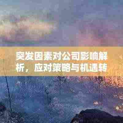 突发因素对公司影响解析,应对策略与机遇转化之道