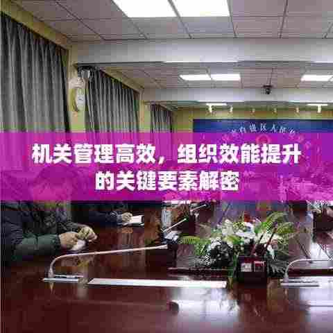 机关管理高效，组织效能提升的关键要素解密