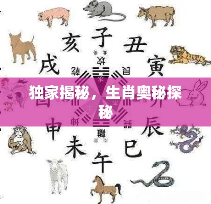 独家揭秘,生肖奥秘探秘