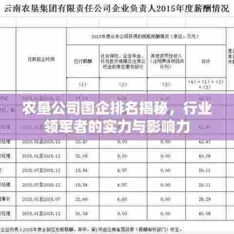 农垦公司国企排名揭秘,行业领军者的实力与影响力