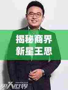 揭秘商界新星王思聪,百度独家解读其成长轨迹与影响力